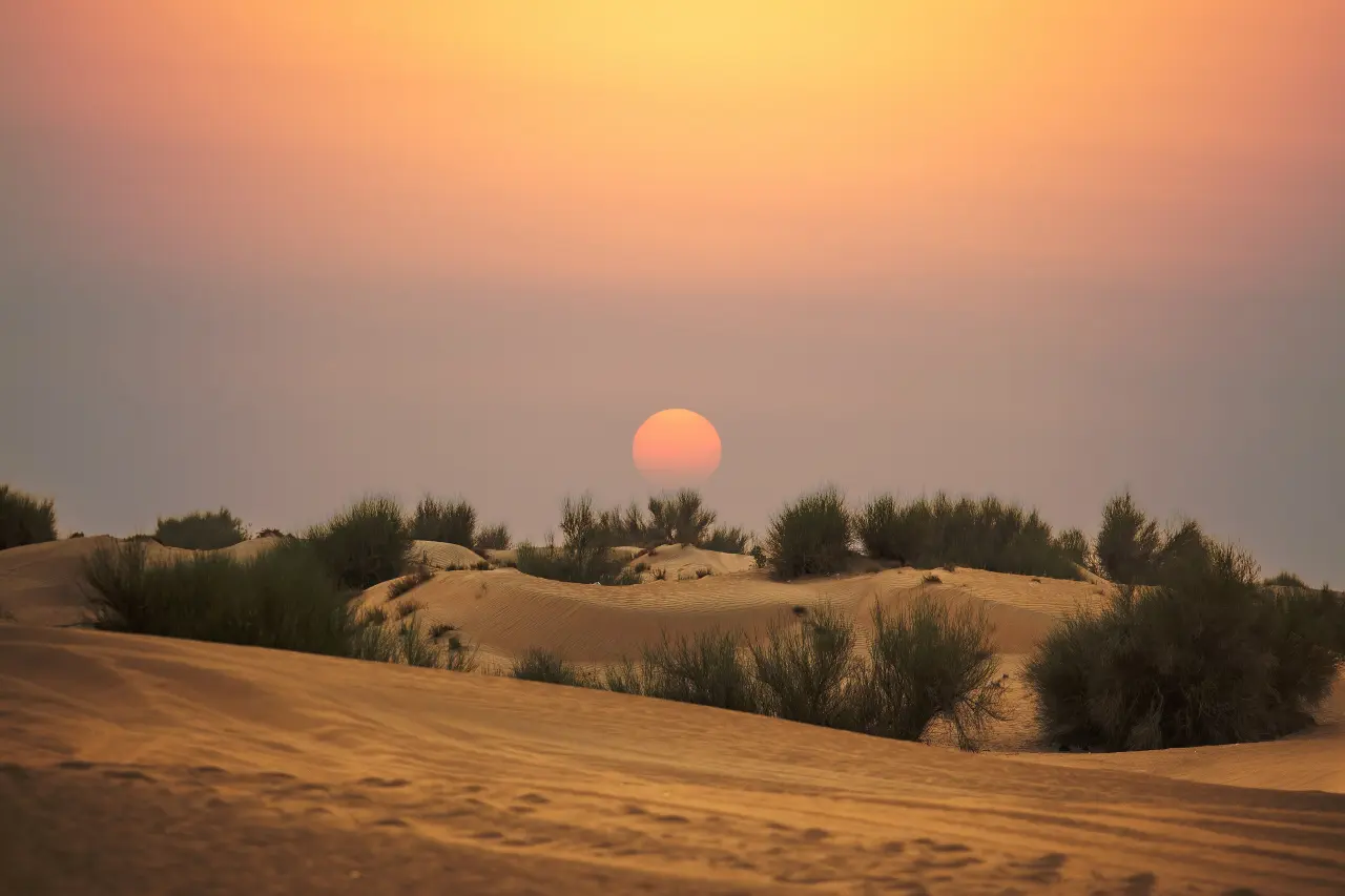 Sun setting over the sand dunes of the Dubai desert
