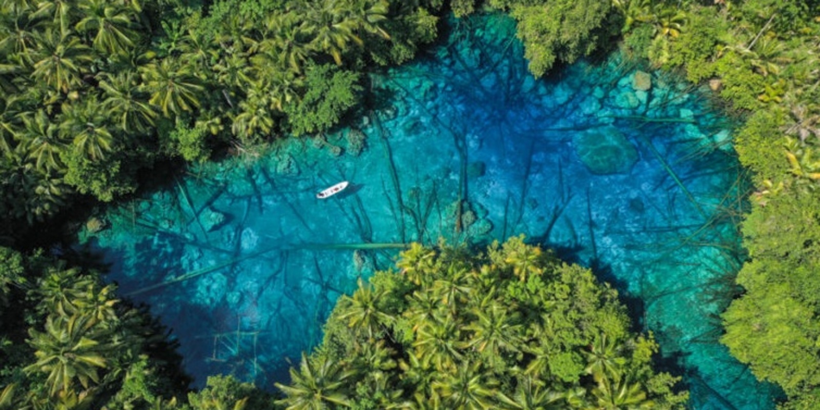 Paisu Pok Lake, Banggai: Indonesia’s Stunning Hidden Blue Lake