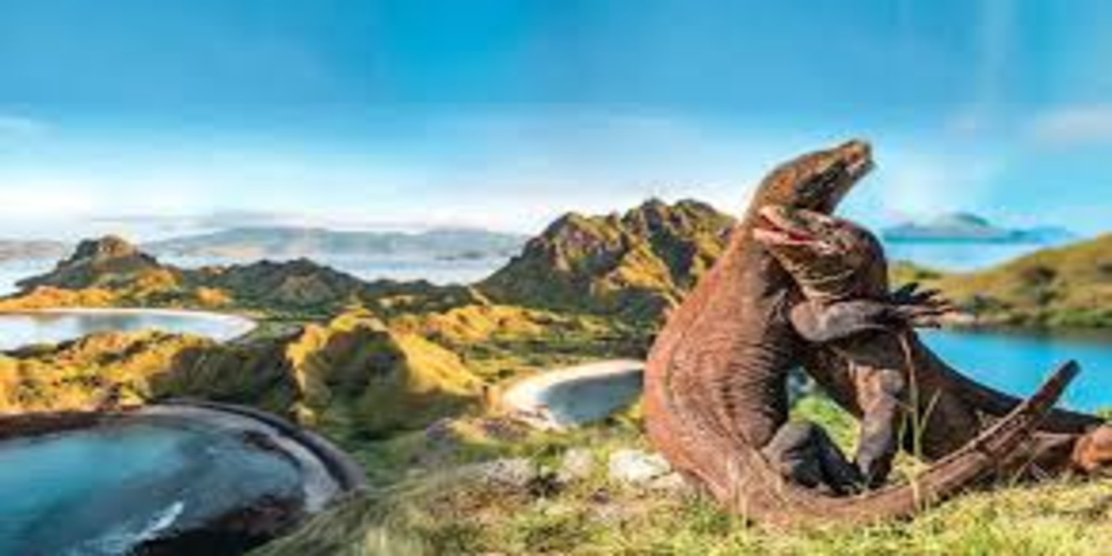 Komodo Islands Travel Guide: How to Visit Indonesia’s Wild Dragon Paradise