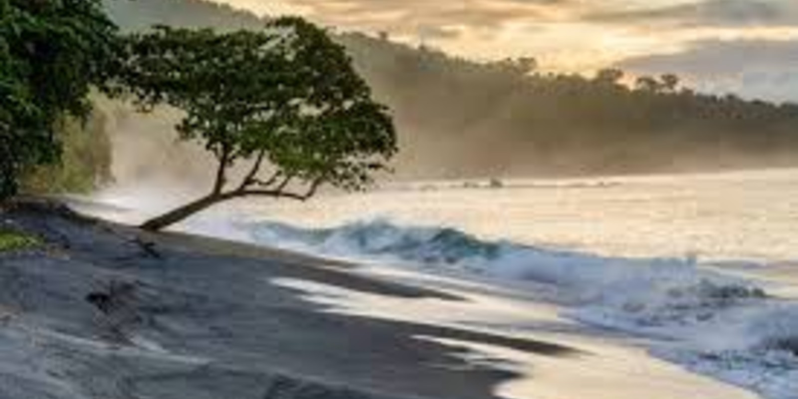 How To Visit Tangkoko National Park: Wildlife & Jungle Guide