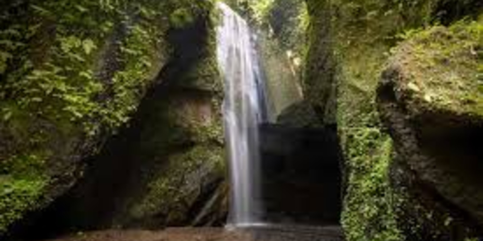 Goa Raja Waterfall Bali: King Cave Falls Travel Guide