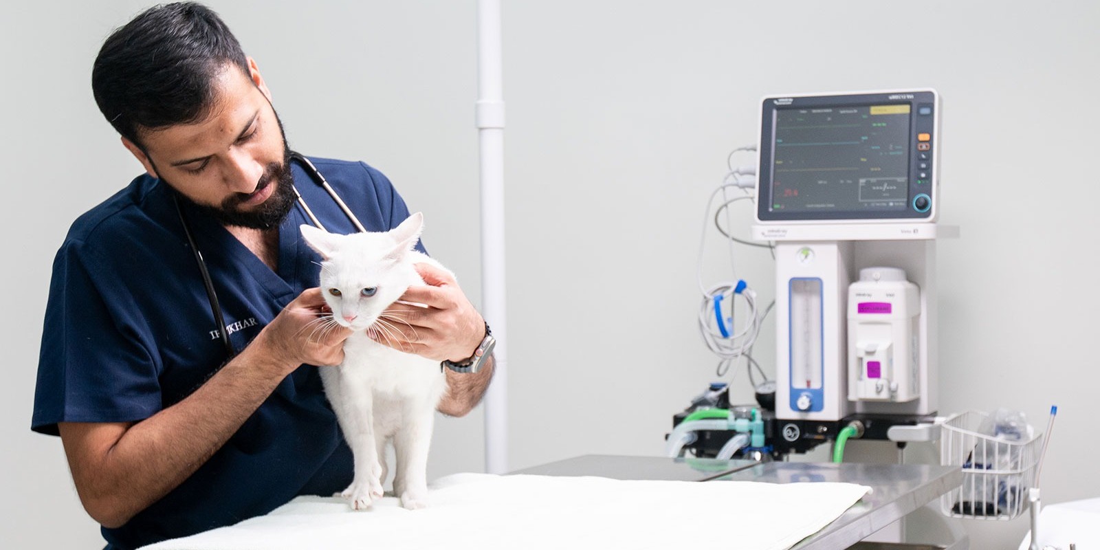 Mobile Vet Services in Dubai: Everything You Need to Know About At-Home Pet Care