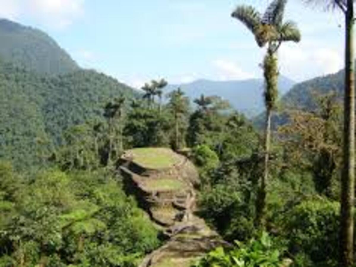Lost City Trek Colombia: Guide to Ciudad Perdida Adventure