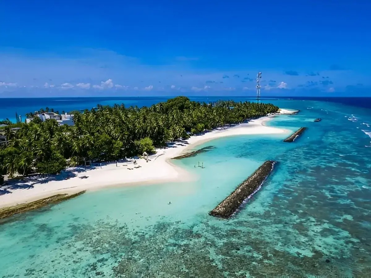 Fulidhoo Island Guide: Budget Paradise With Shark & Stingray Beach In Maldives