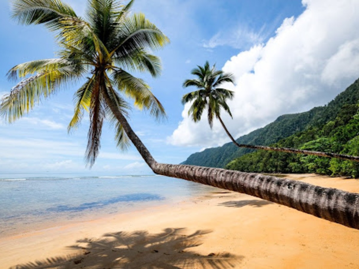 24 Most Beautiful Beaches in Indonesia: Hidden Gems & Must-See Shores