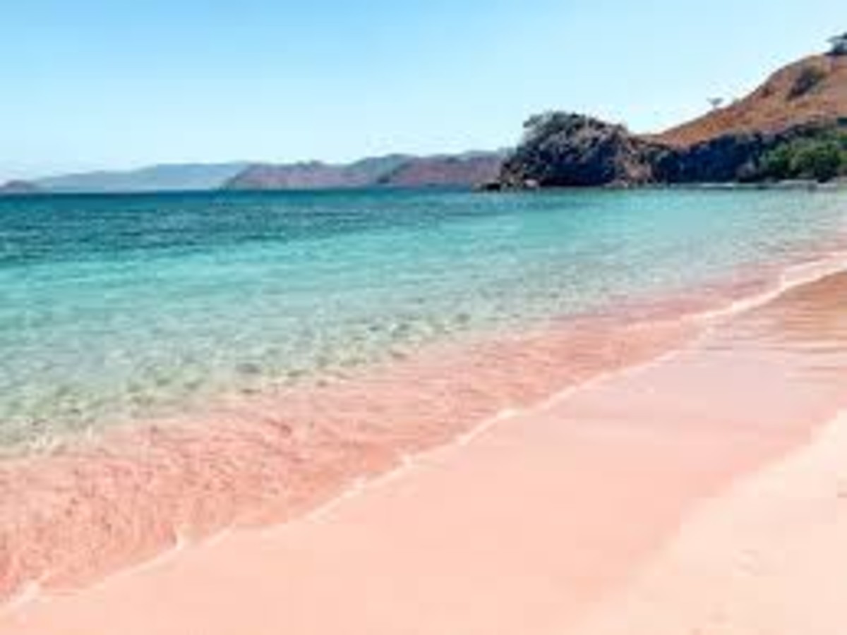 Pink Beaches of Komodo: How to Visit Indonesia’s Rare Rosy Shores