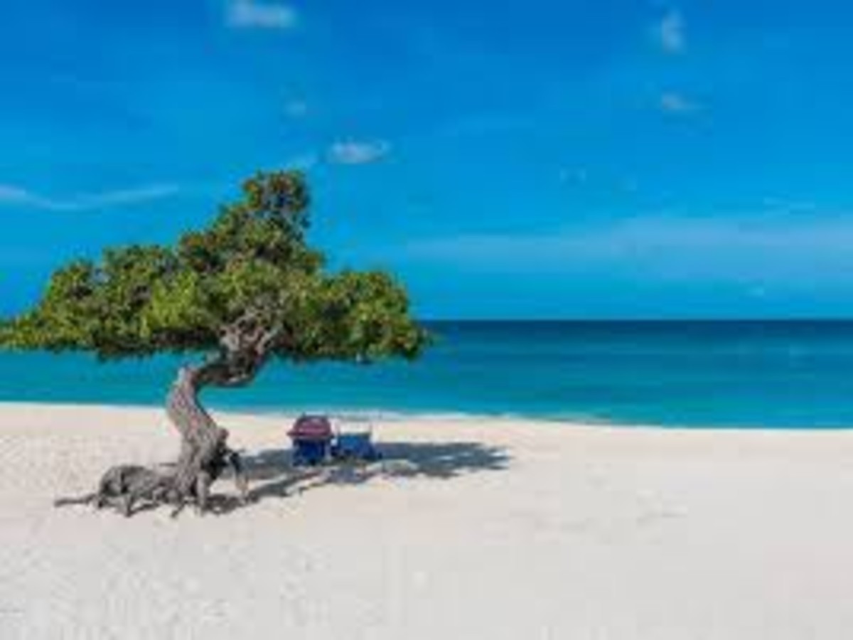 18 Best Beaches in Aruba: Palm, Eagle & Hidden Gems