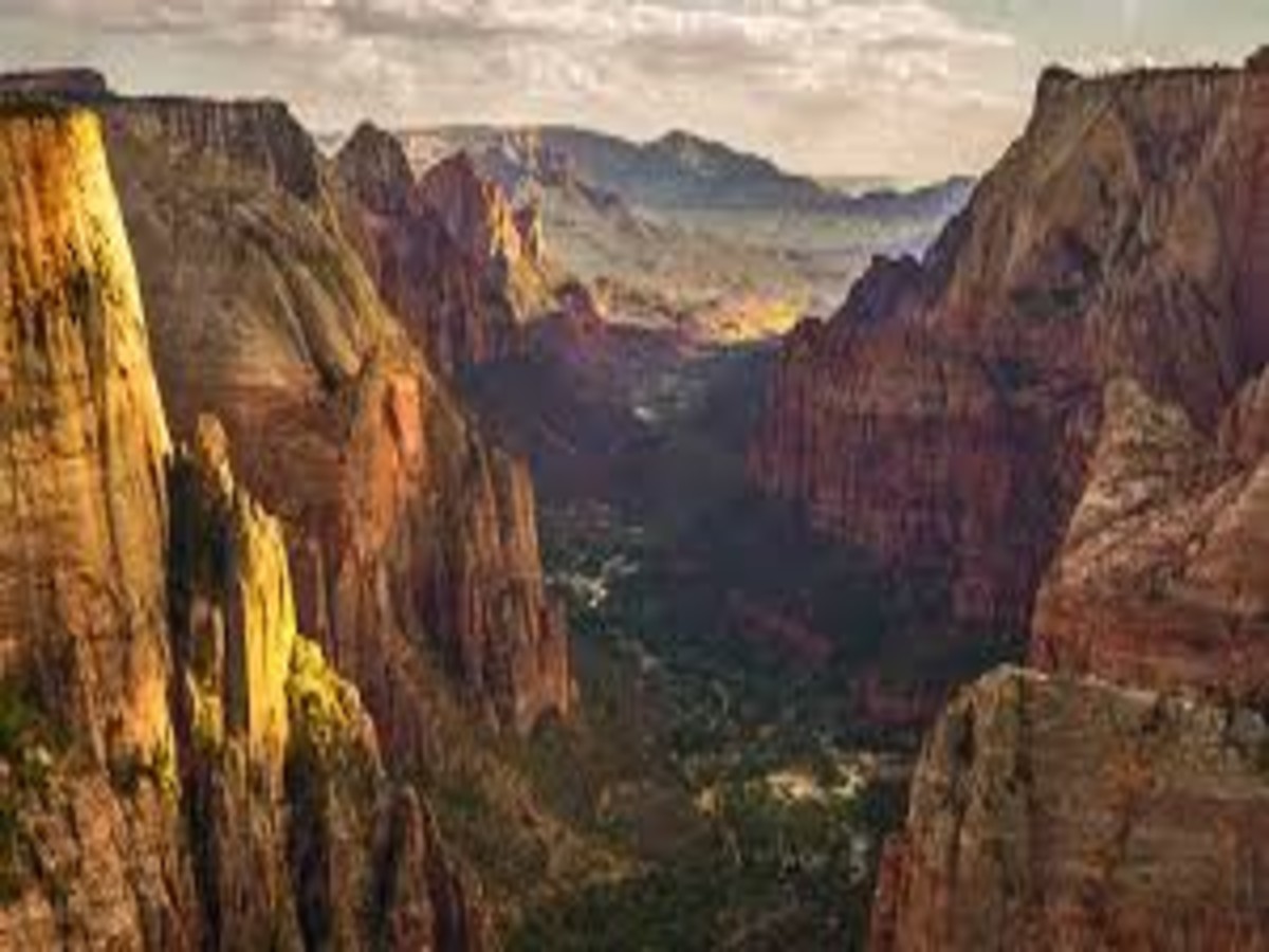 Observation Point Hike via East Mesa Trail: Zion’s Best Open Viewpoint