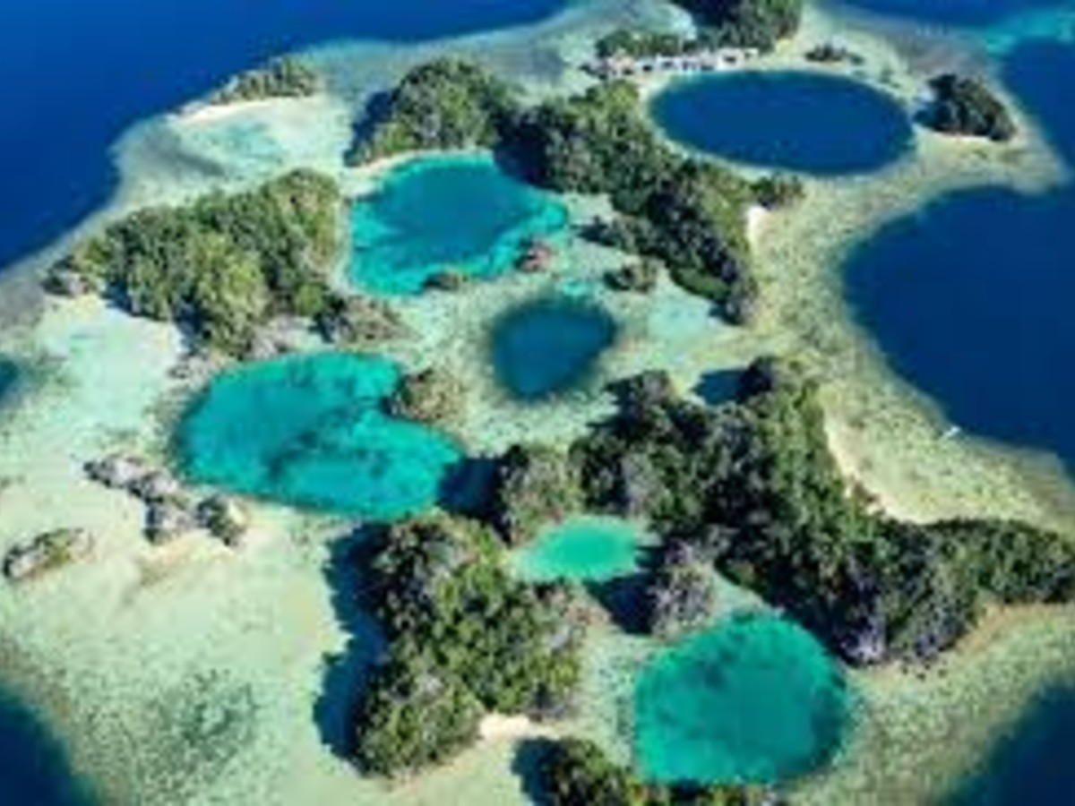 Sombori Island Travel Guide: Sulawesi’s Hidden Raja Ampat Paradise
