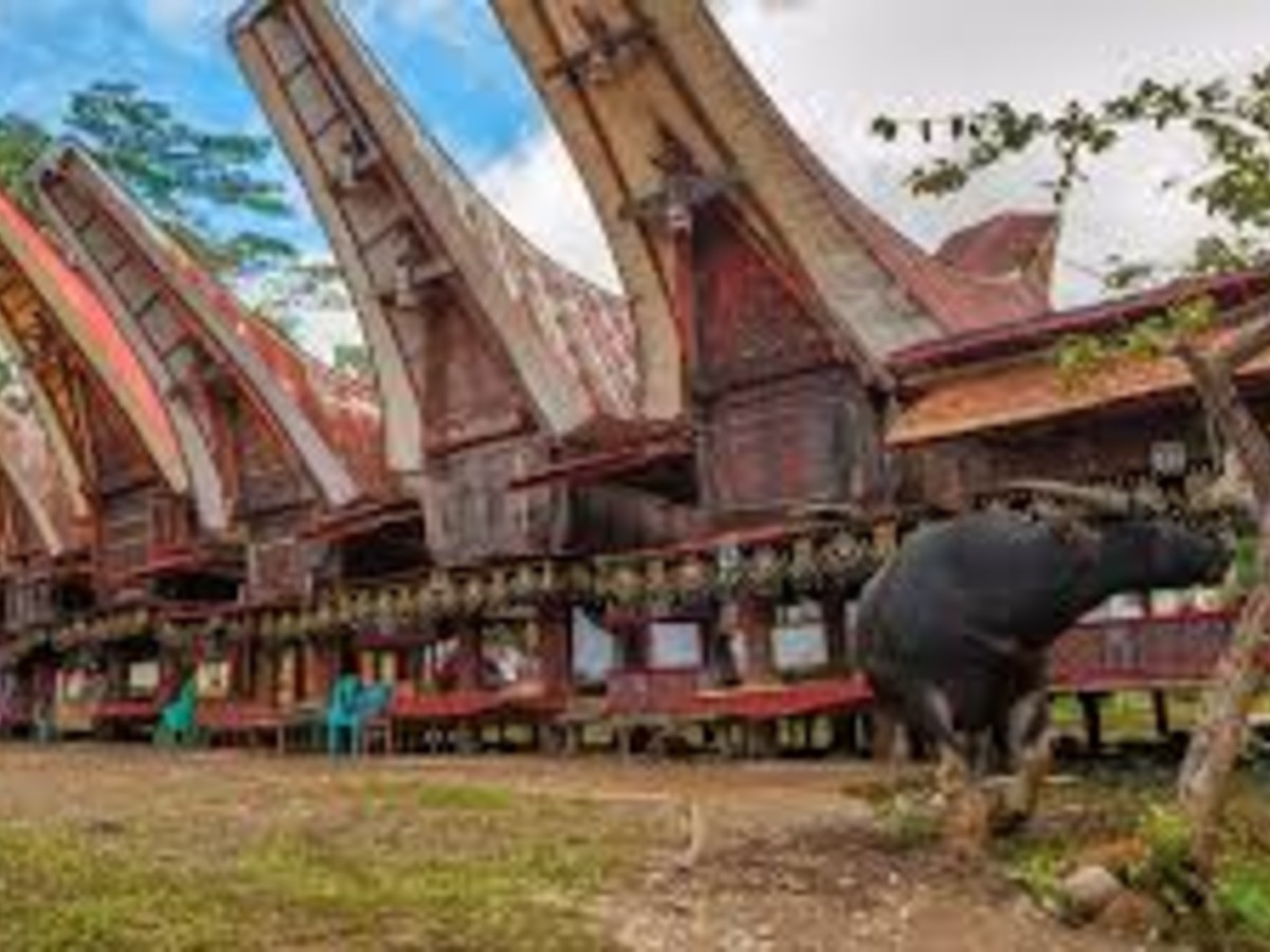Tana Toraja Indonesia – Travel Guide & Best Things To Do