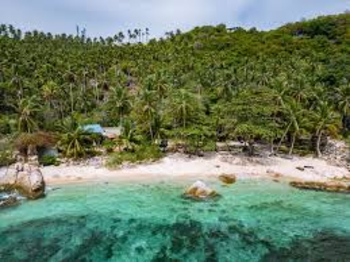Koh Tao Travel Guide: Best Beaches, Viewpoints & Things To Do in Thailand