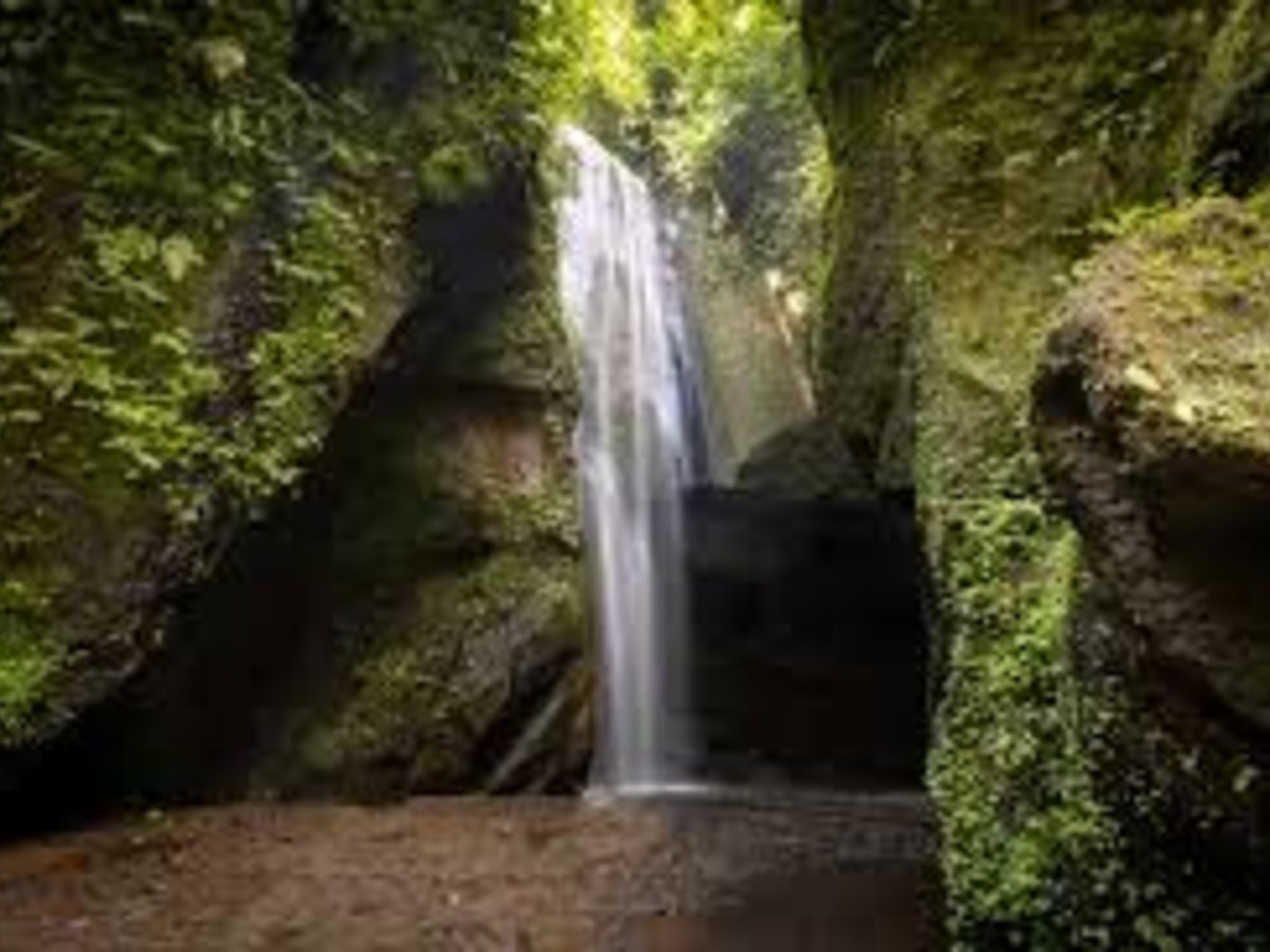 Goa Raja Waterfall Bali: King Cave Falls Travel Guide